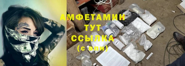 PSILOCYBIN Кулебаки