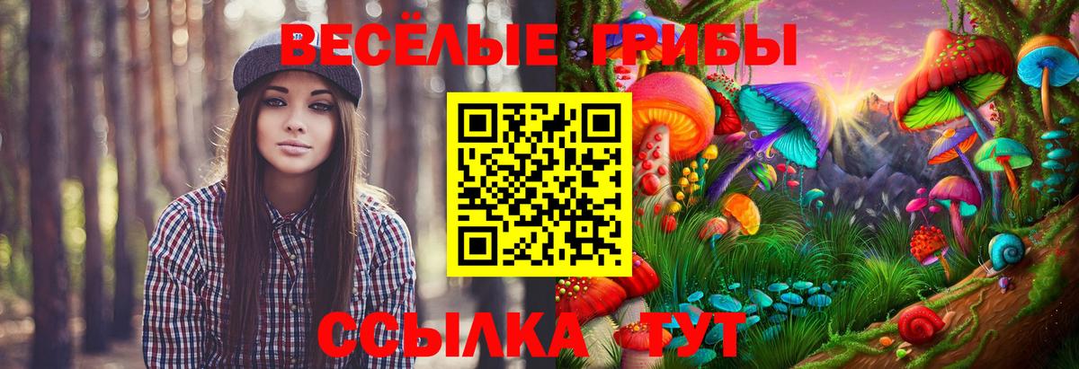Орск  Галлюциногенные грибы прущие грибы  Вход с VPN  Псилоцибиновые грибы MAGIC MUSHROOMS 