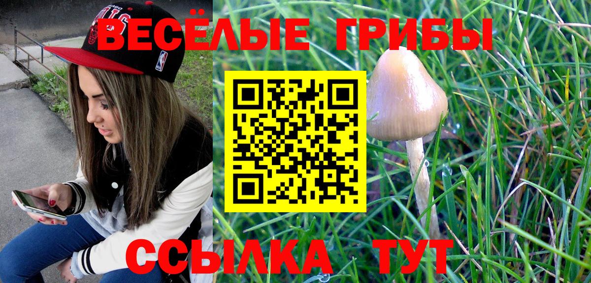 Псилоцибиновые грибы GOLDEN TEACHER Орск